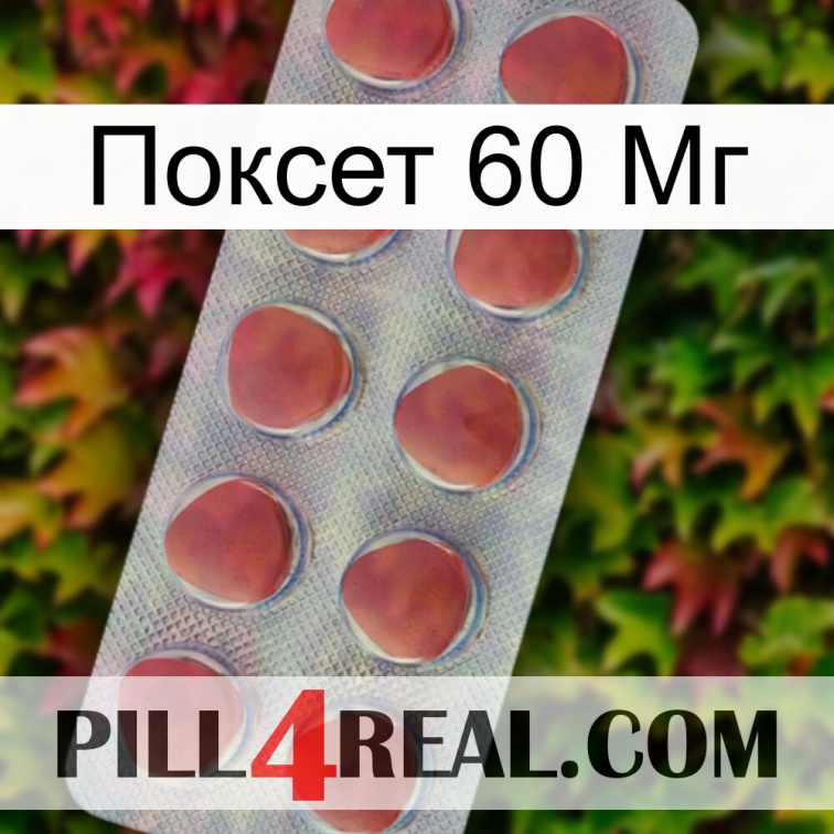 Поксет 60 Мг 18